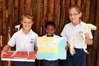 charlo primary school port elizabeth projects 12